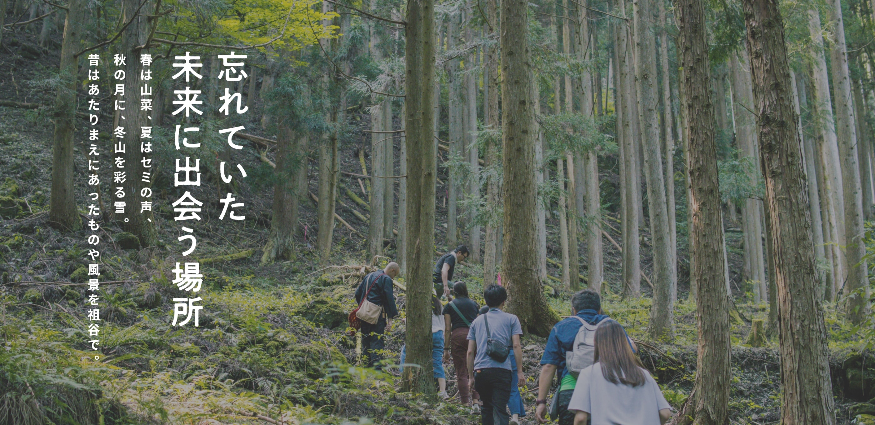 忘れていた未来に出会う場所 春は山菜、夏はセミの声、秋の月に、冬山を彩る雪。昔はあたりまえにあったものや風景を祖谷で。